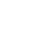AI Integration Services