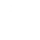 Post-Launch Growth & Support