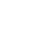 System Audit & Transition