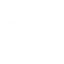 Electric Vehicle (EV)