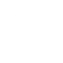 Development Team & Expertise
