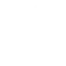 Fitness & Wellness